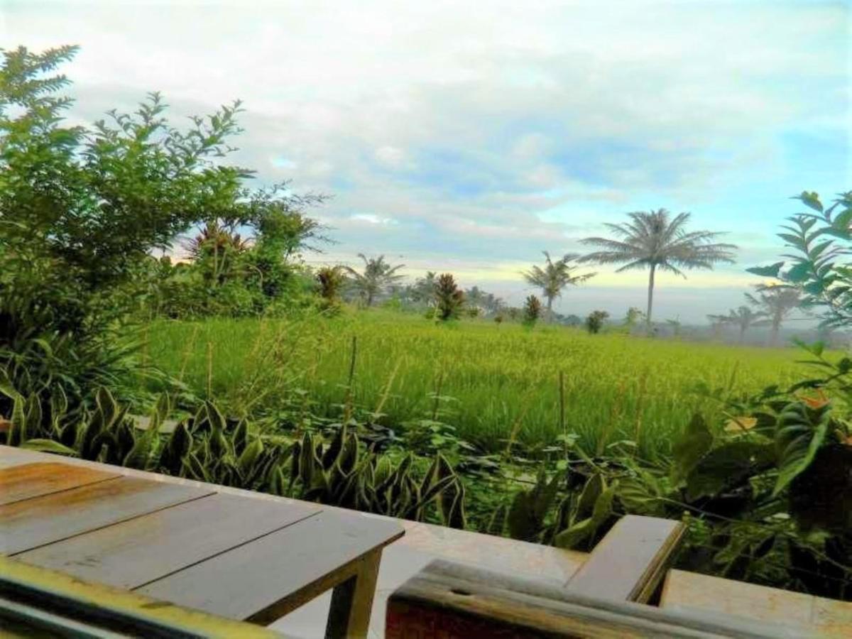 Fida Ijen Crater Guesthouse Licin Exterior foto